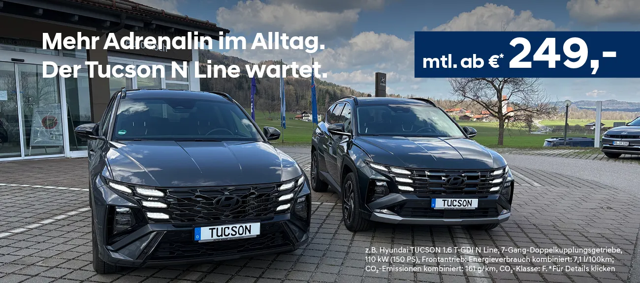 Powerleasing TUCSON N Line